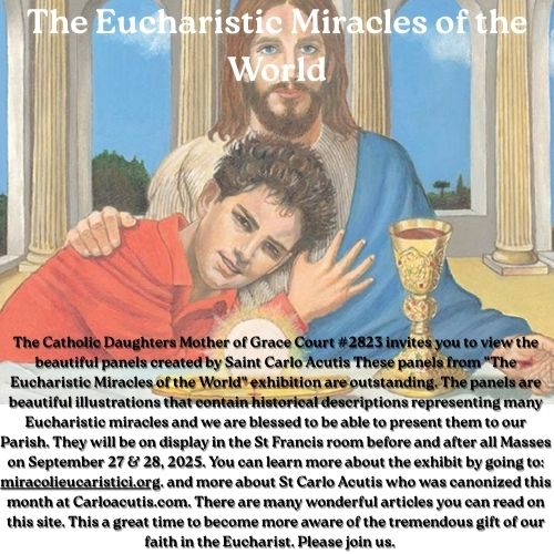 The Eucharistic Miracles of the World